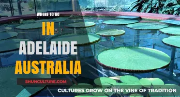 Discover Adelaide's Best: Top Spots to Explore in South Australia