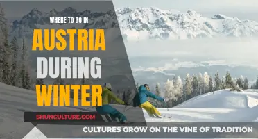 Winter Adventures: Austria's Top Destinations for a Magical Season