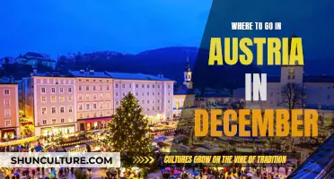 Exploring Austria's Winter Wonderlands in December