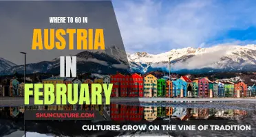 Exploring Austria's Winter Wonders in February