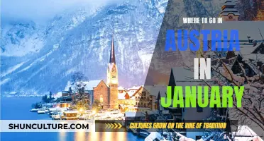 Exploring Austria's Winter Wonderlands in January