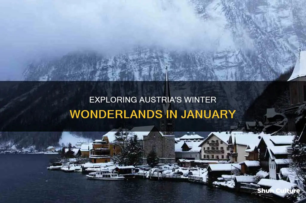 where to go in austria in january