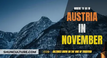 Austria's November Adventure: Top 3 Must-See Destinations