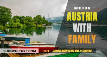 Exploring Austria's Best Family-Friendly Destinations: A Guide to Fun and Adventure