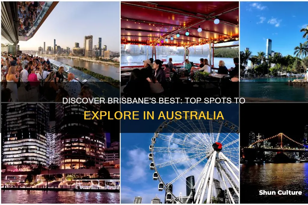 where to go in brisbane australia
