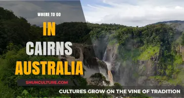 Discover Cairns: Top Destinations and Hidden Gems in Tropical North Queensland