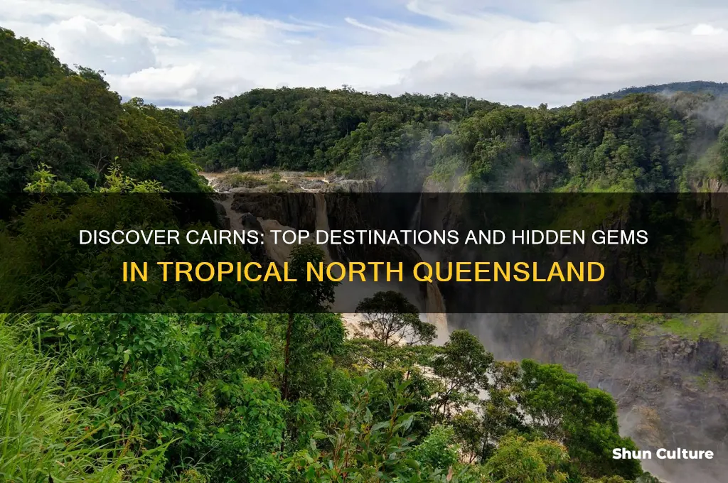 where to go in cairns australia