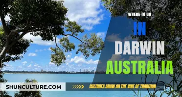 Discover Darwin's Top Attractions: A Guide to Must-Visit Spots in Australia's Tropical City