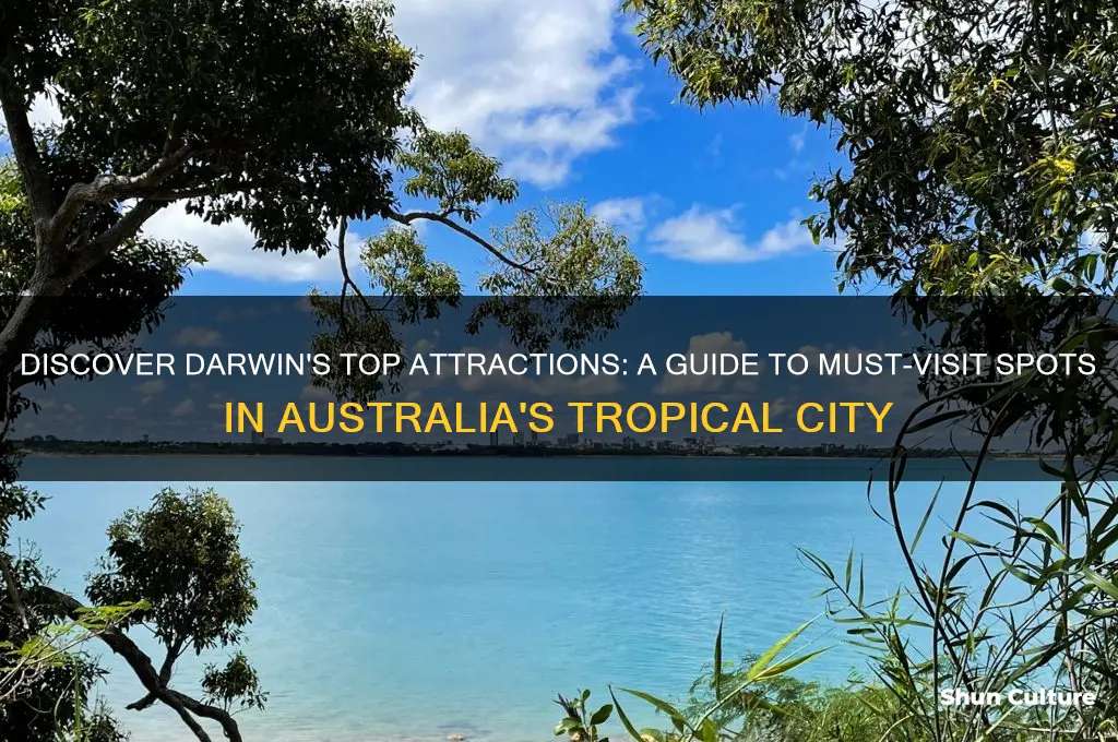where to go in darwin australia