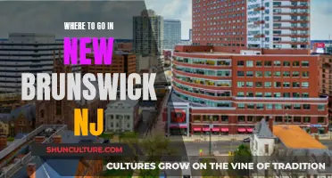 Explore New Brunswick, NJ: A City Guide