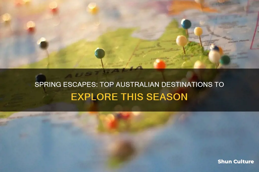 where to go in spring in australia