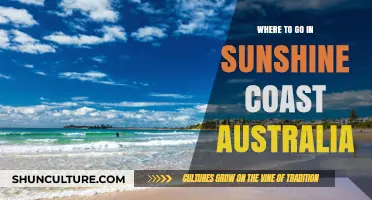 Discover Sunshine Coast: Top Destinations for an Unforgettable Australian Adventure