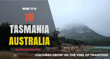Discover Tasmania's Best: Top Destinations for an Unforgettable Adventure