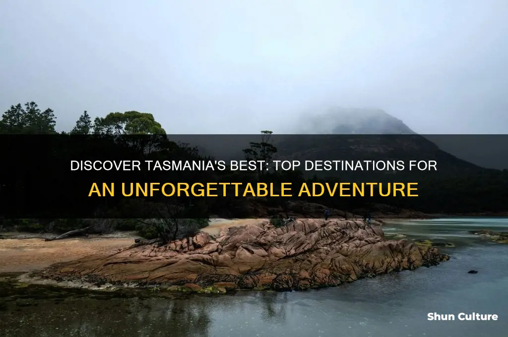 where to go in tasmania australia