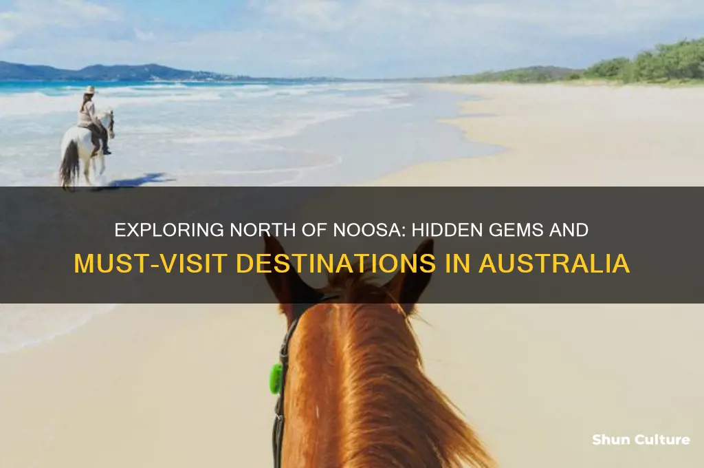 where to go north after noosa australia