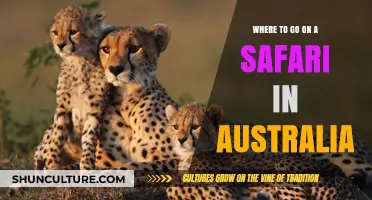 Discover Australia's Wild Side: Top Safari Destinations to Explore