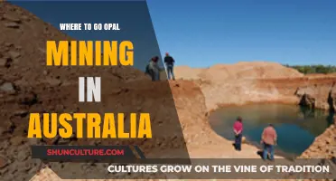 Discover Australia's Best Opal Mining Locations: A Gem Hunter's Guide