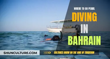 Pearl Diving in Bahrain: Best Destinations Revealed