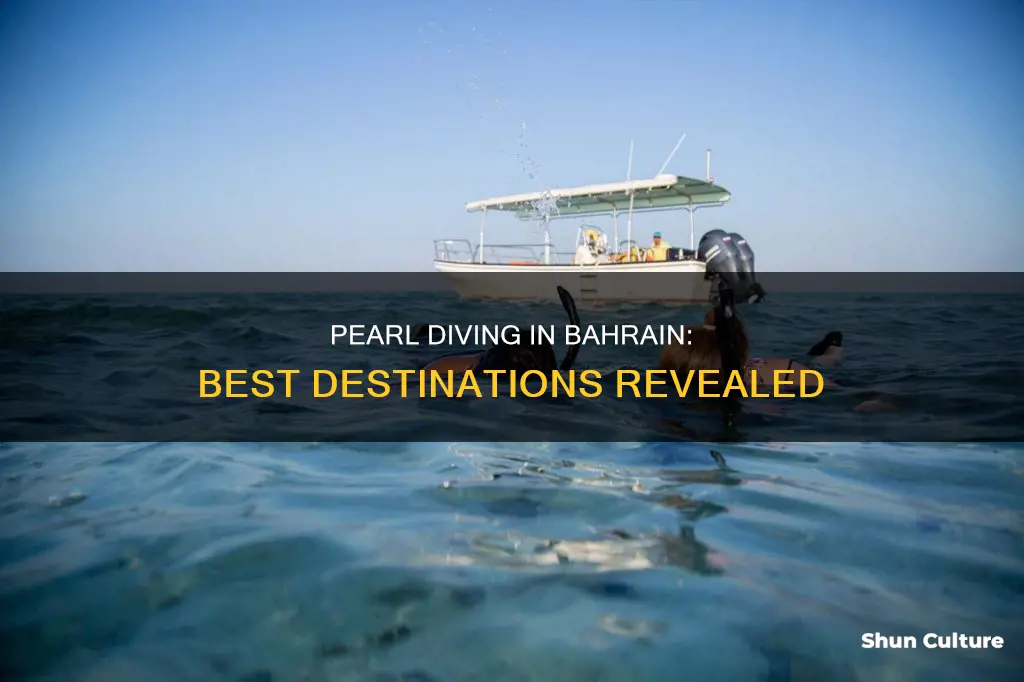 where to go pearl diving in bahrain