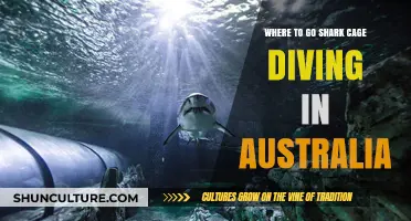 Thrilling Shark Cage Diving Adventures: Top Spots in Australia