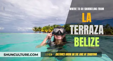 Snorkeling Paradise: La Terrazas' Belizean Reef