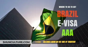 Your Ultimate Guide to Obtaining a Brazil E-Visa Easily