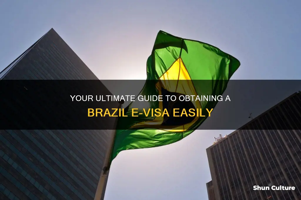 where to go to get brazil e-visa aaa