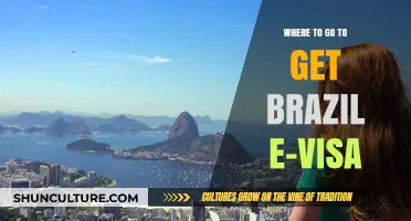 Your Guide to Obtaining a Brazil E-Visa: Top Destinations