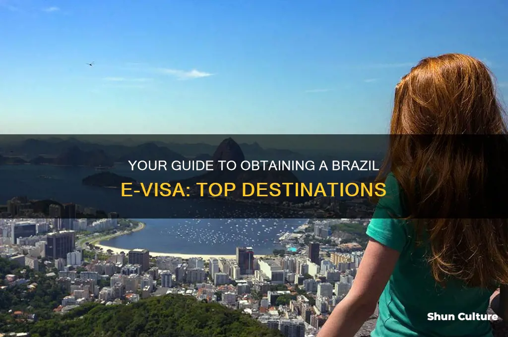 where to go to get brazil e-visa