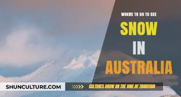 Best Snowy Destinations in Australia: Top Spots for Winter Wonderland