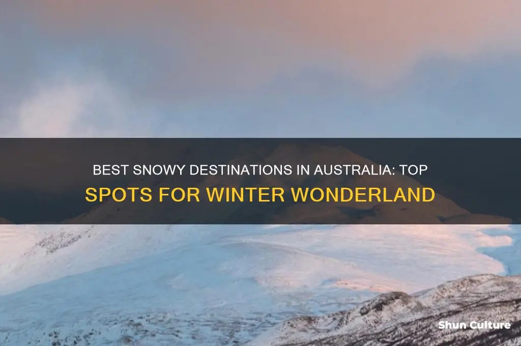where to go to see snow in australia