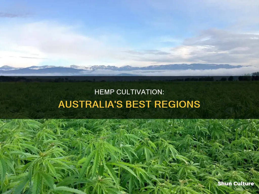 where to grow hemp in australia