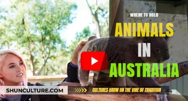 Explore Australia's Best Wildlife Attractions