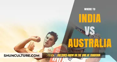 India vs Australia: Where to Watch the Live Cricket Match