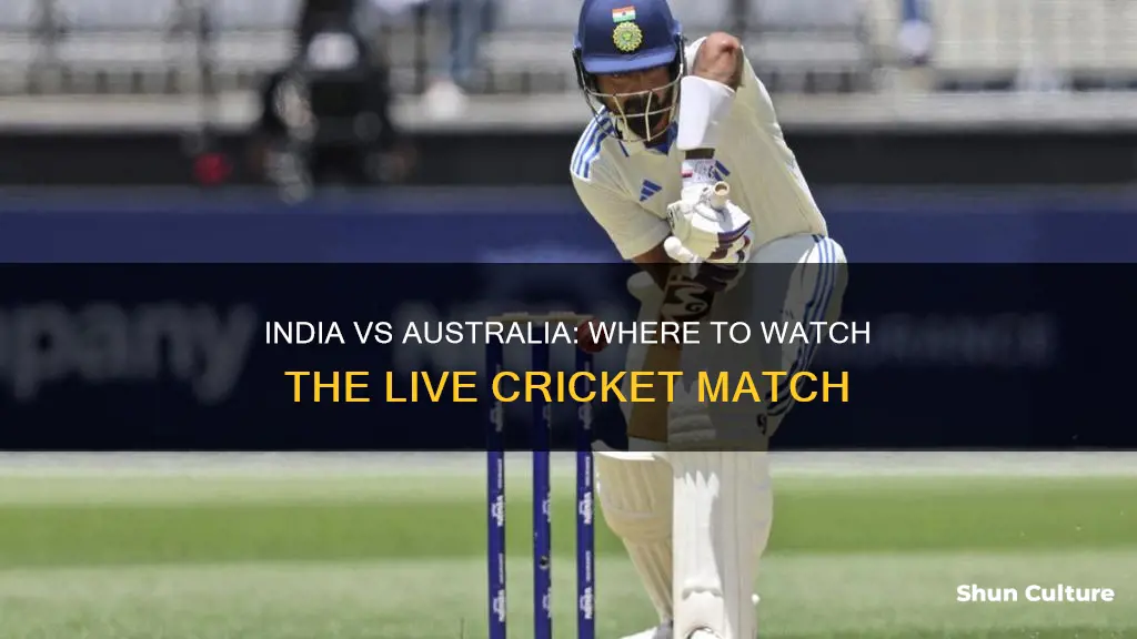 where to india vs australia
