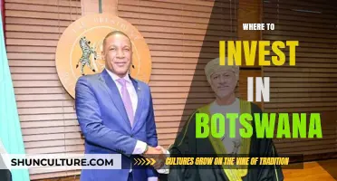 Unlocking Botswana's Investment Potential: Top Opportunities and Sectors to Explore