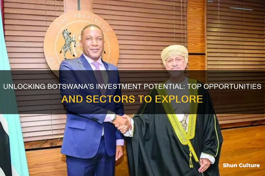 where to invest in botswana