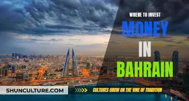 Bahrain Investment Opportunities: Where to Invest Your Money?