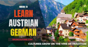 Learn Austrian German: Best Online Resources and Courses