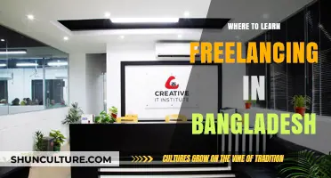 Top Freelancing Learning Platforms and Institutes in Bangladesh Revealed