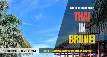 Best Muay Thai Training Destinations in Brunei