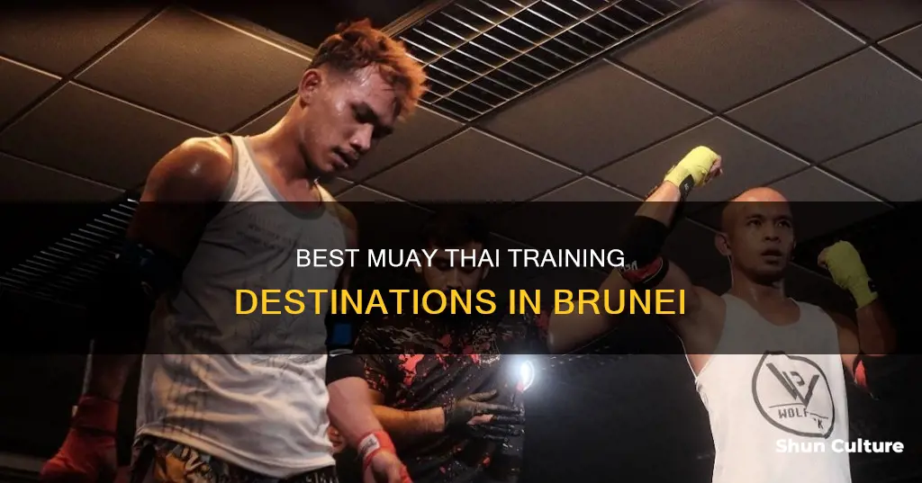 where to learn muay thai in brunei