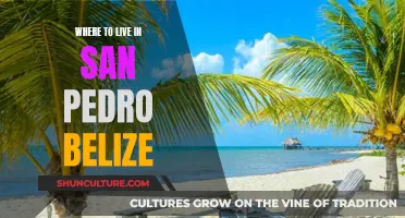 San Pedro, Belize: Where to Live?