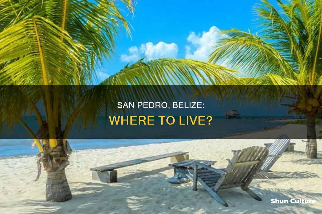 where to live in san pedro belize