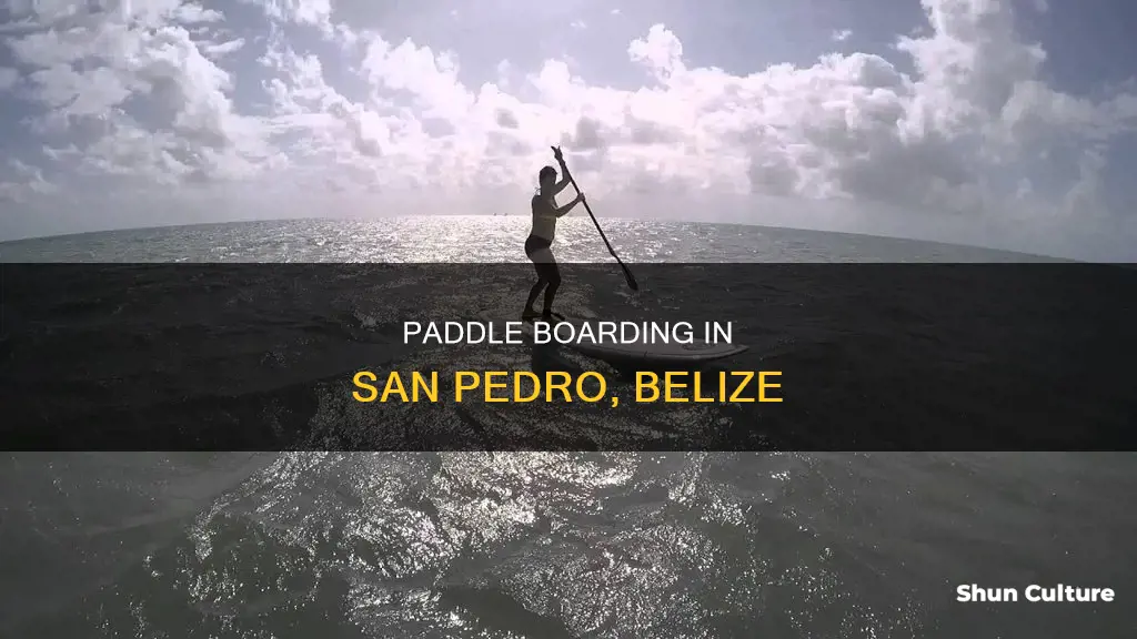 where to paddle board sa n pedro belize