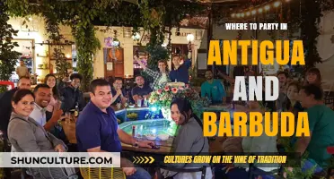 Antigua and Barbuda's Best Party Spots: A Guide to Nightlife