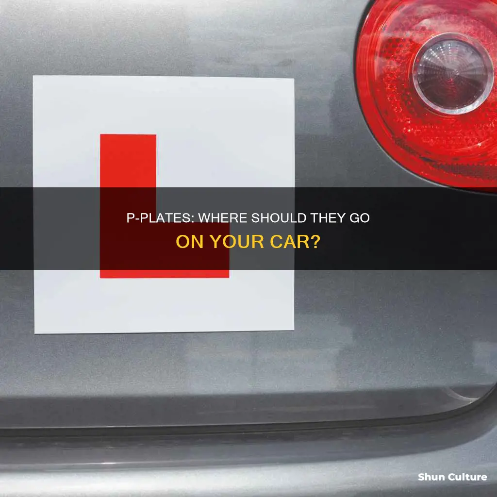 where to put p plates on a car australia