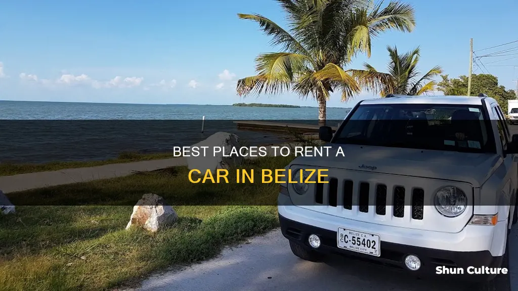 where to rent a car in belize