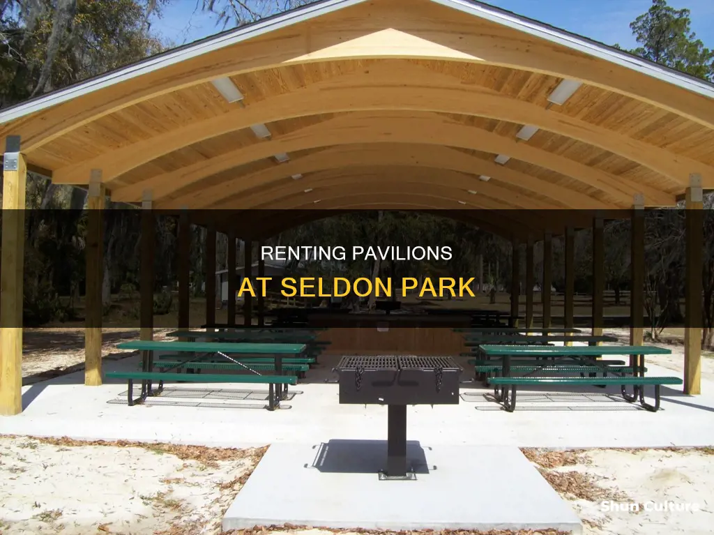 where to rent pavilions at seldon park in brunswick ga