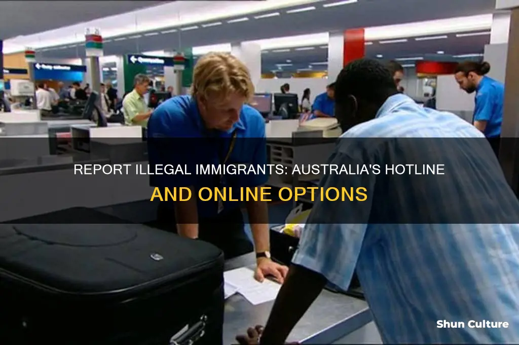 where to report illegal immigrants in australia